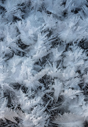 Similar image 21441222