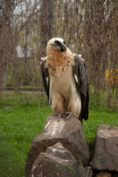 Similar image 21437719