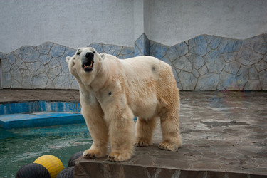 Similar image 21437720