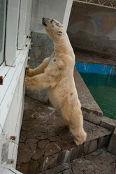 Similar image 21437721