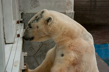 Similar image 21437723