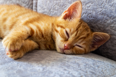 Similar image 21440096