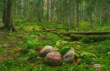 Similar image 21441421