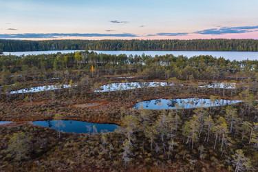 Similar image 21441673