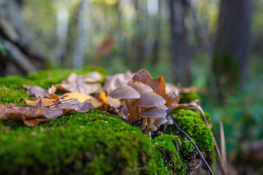 Similar image 21441674