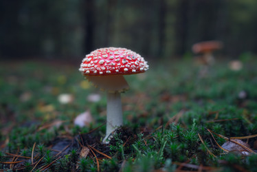 Similar image 21441680