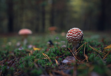 Similar image 21441689