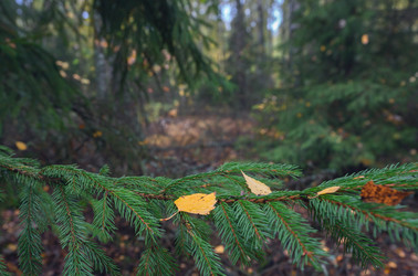 Similar image 21441692