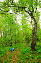 Similar image 21444453