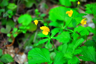 Similar image 21444454