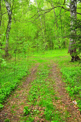 Similar image 21444455