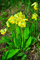 Similar image 21444456