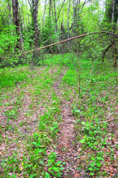 Similar image 21444457