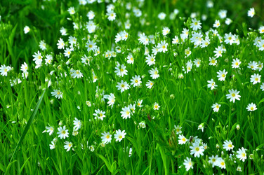 Similar image 21444458