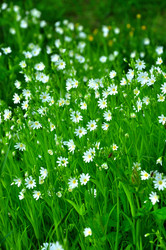 Similar image 21444459