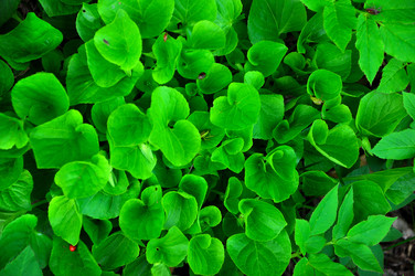 Similar image 21444460