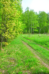 Similar image 21444461