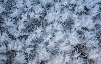 Similar image 21442322