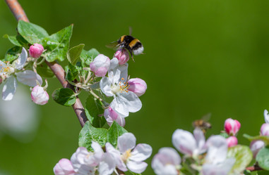 Similar image 21442325