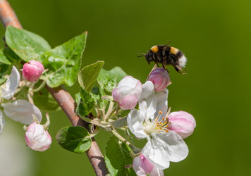 Similar image 21442331