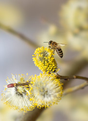 Similar image 21442334