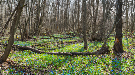 Similar image 21442335