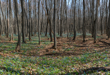 Similar image 21442337