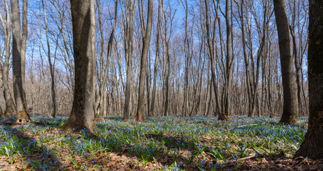 Similar image 21440957