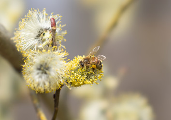 Similar image 21440958