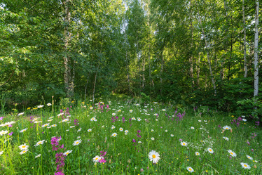 Similar image 21440959