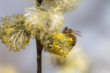 Similar image 21440961