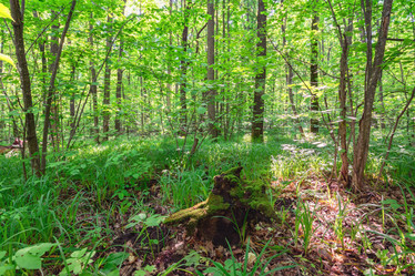 Similar image 21441609