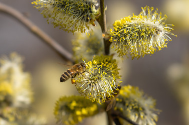 Similar image 21441611