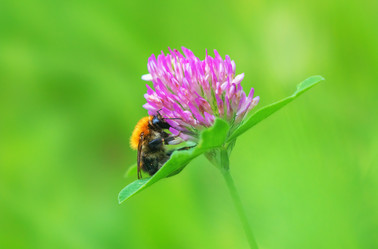 Similar image 21441613