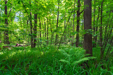 Similar image 21441615