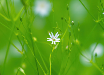 Similar image 21441617