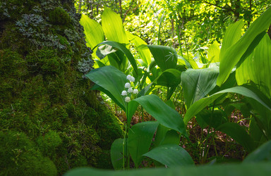 Similar image 21440976