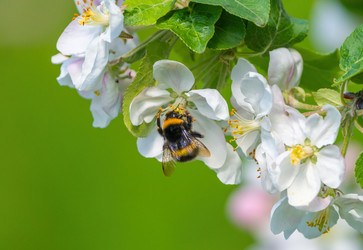 Similar image 21440977