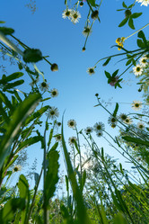 Similar image 21440978