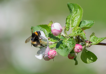 Similar image 21440979