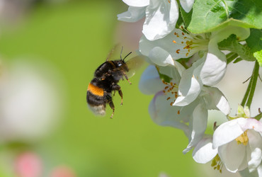 Similar image 21440997