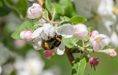 Similar image 21440999