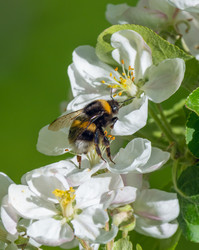 Similar image 21441076