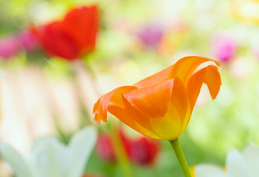 Similar image 21441077