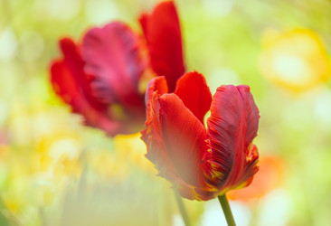 Similar image 21441078