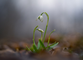 Similar image 21441079