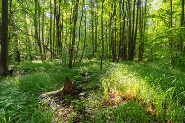 Similar image 21441080