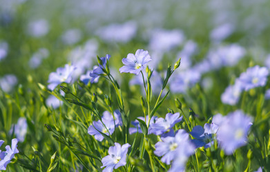 Similar image 21441084