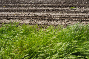 Similar image 21440730