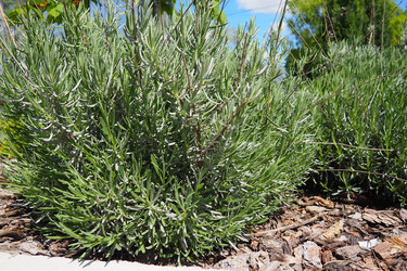 Similar image 21440731